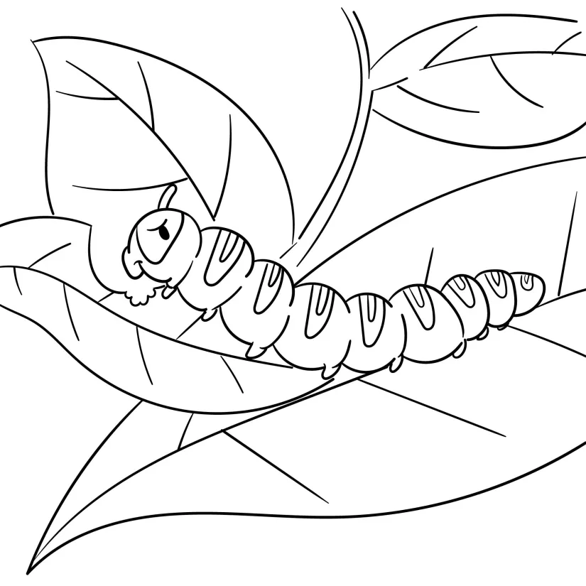 Caterpillar Coloring Pages Printable