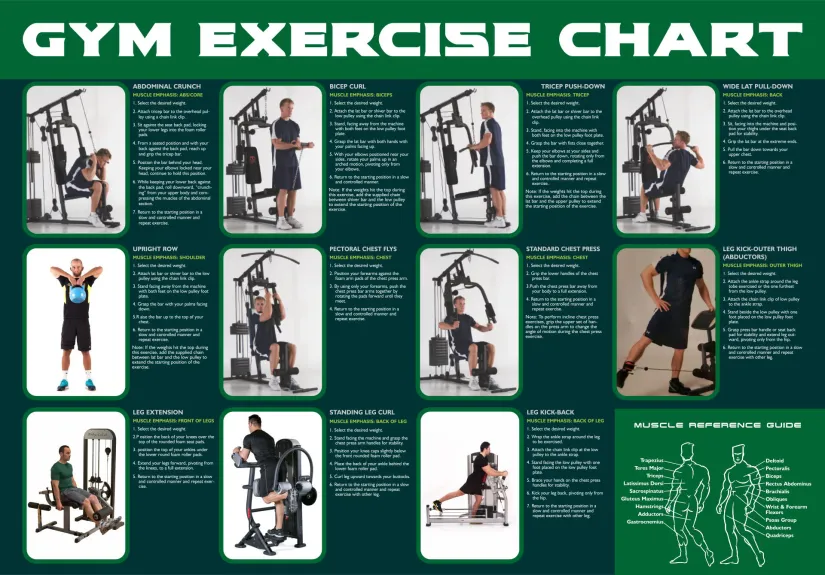 Chair Gym Exercise Chart