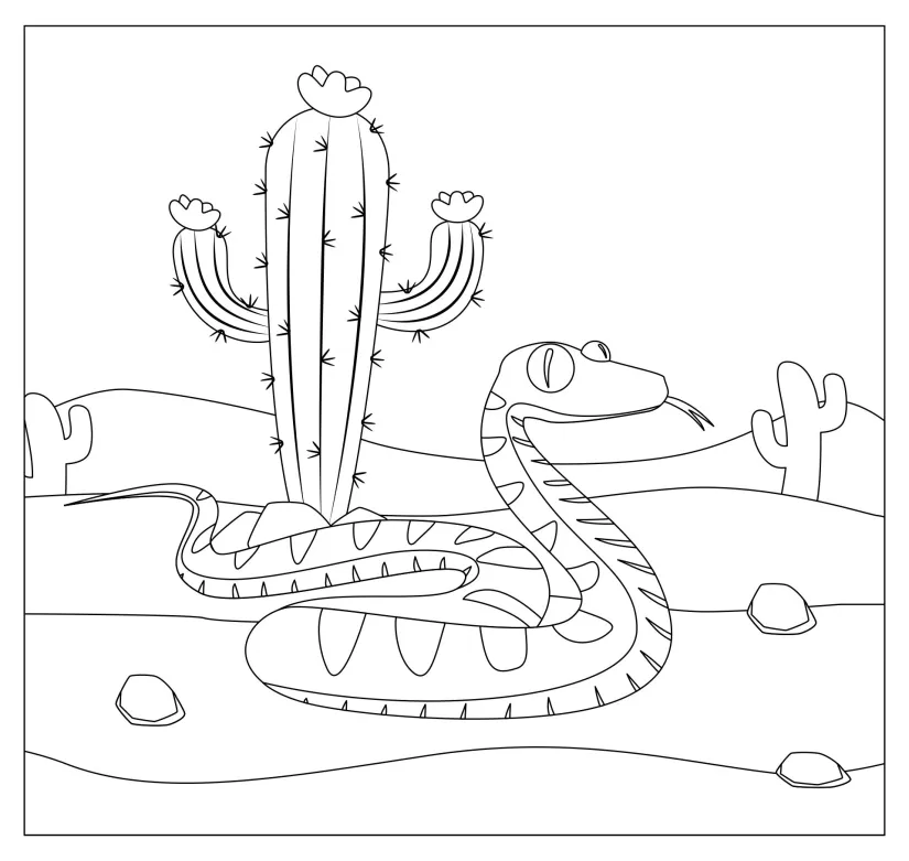 Desert Animals Coloring