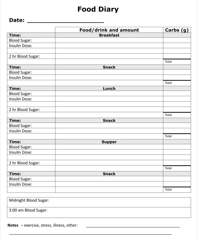 Diabetic Food Diary Template Excel