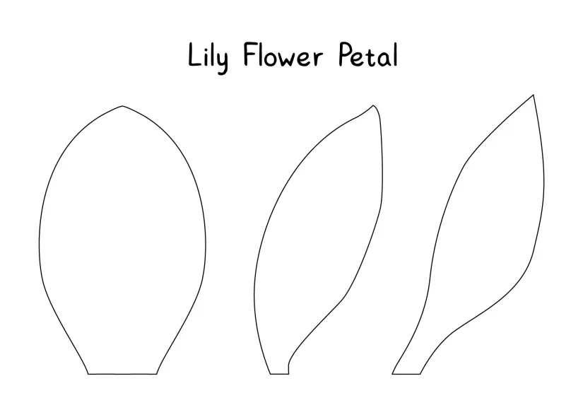 Lily Flower Petal Template