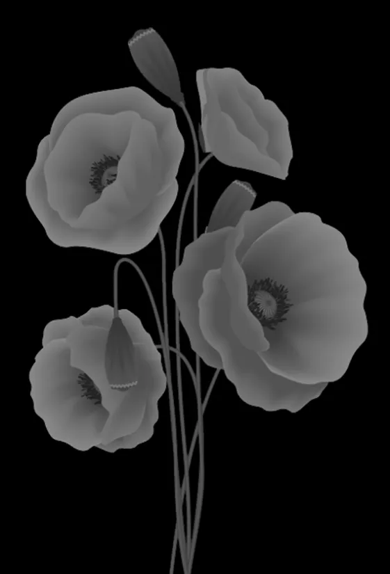 Poppy flower stencil design - poppyflower pattern in grey