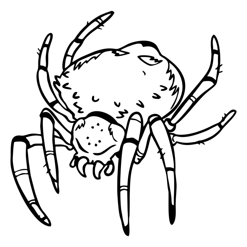 Scary Spider Coloring Pages