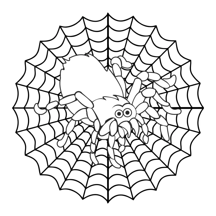 Spider Printable Coloring Pages